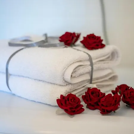 Apartament Cicha