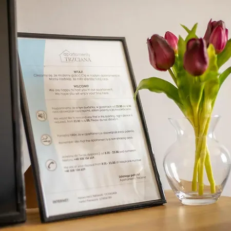 Apartament Cicha Апартаменти Ряшів